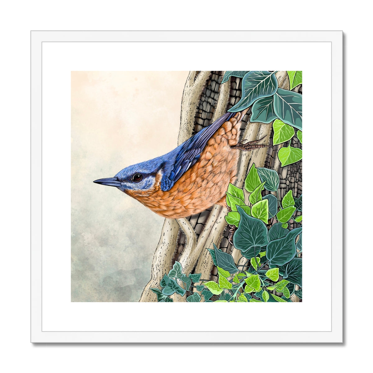 Nuthatch and Ivy Framed & Mounted Print