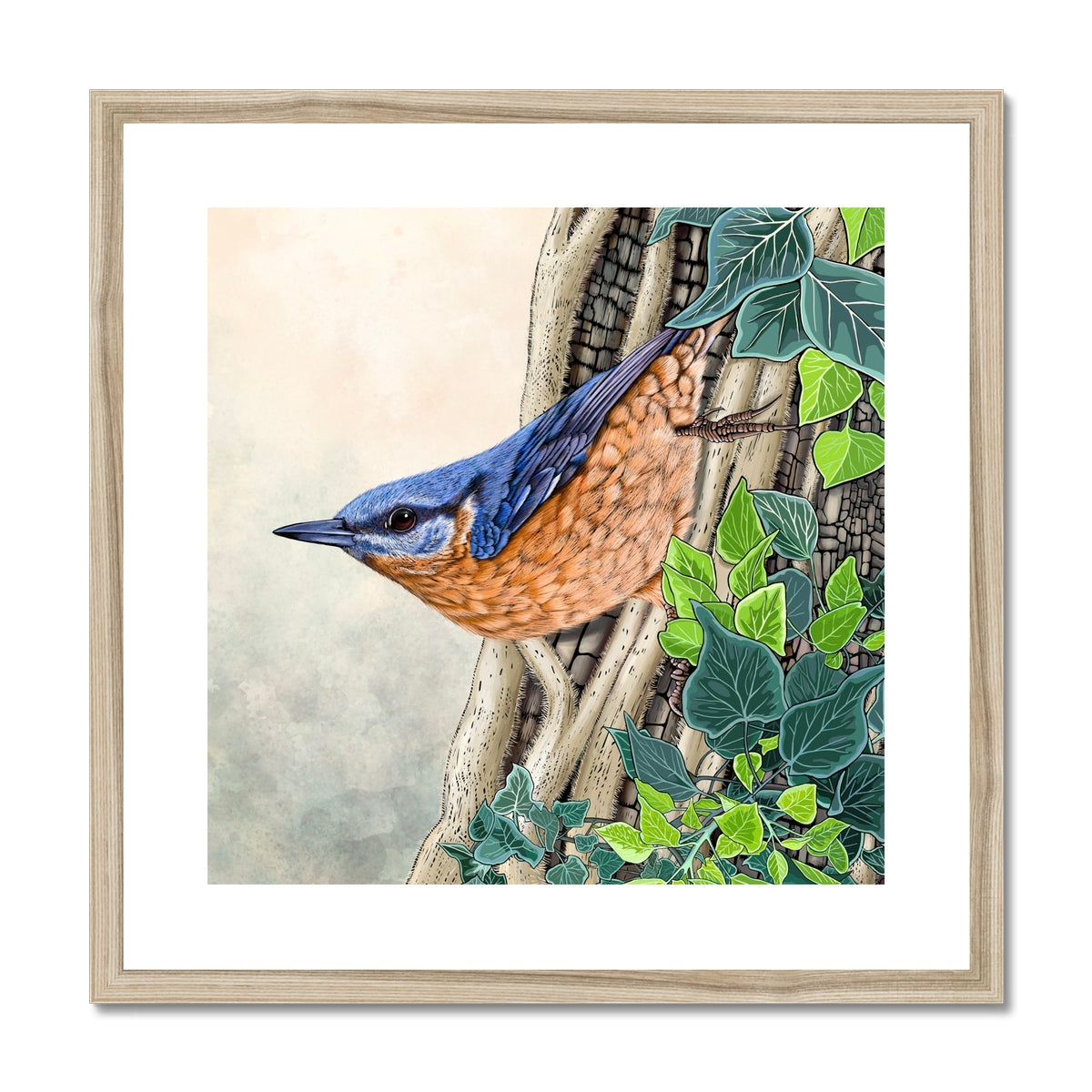 Nuthatch and Ivy Framed & Mounted Print