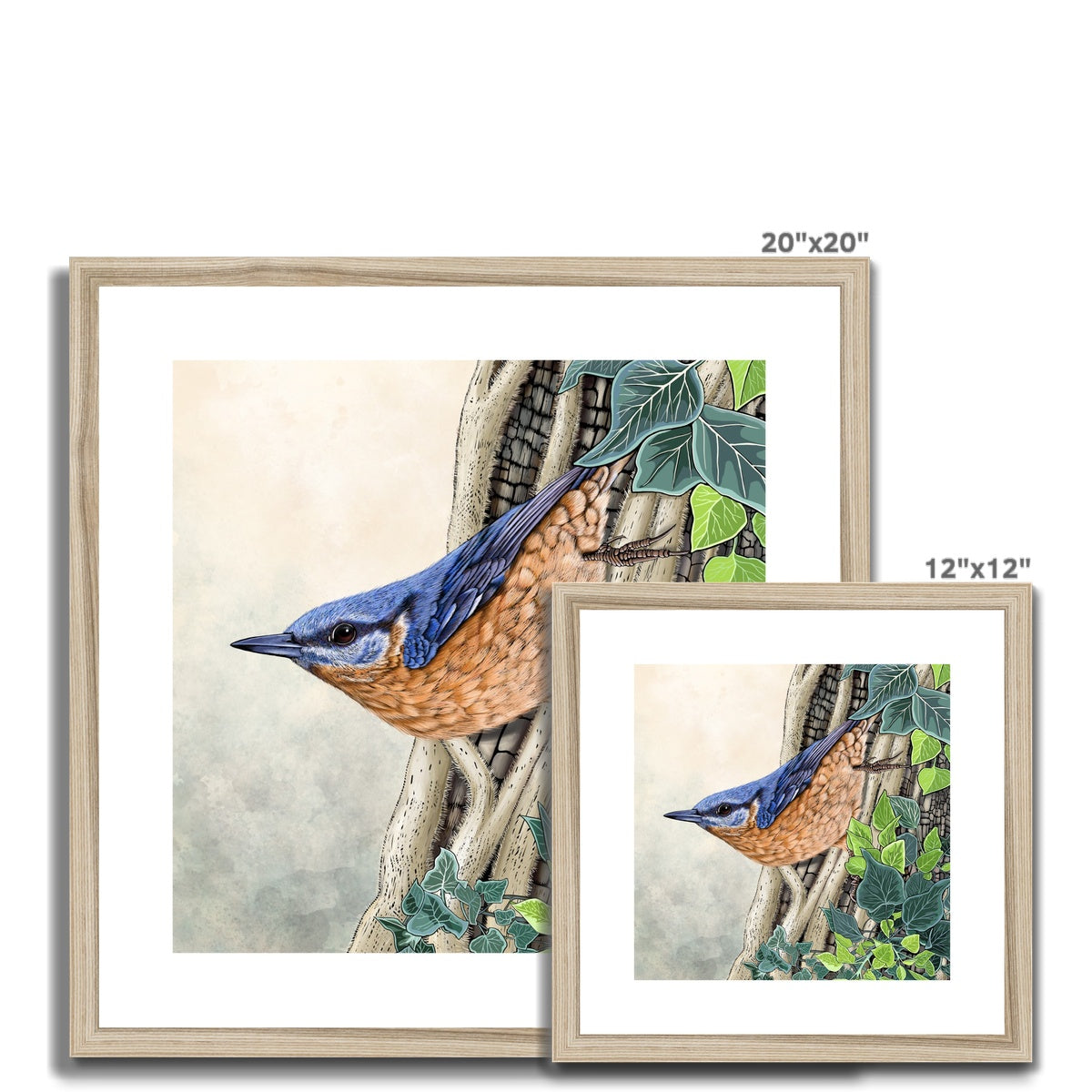 Nuthatch and Ivy Framed & Mounted Print