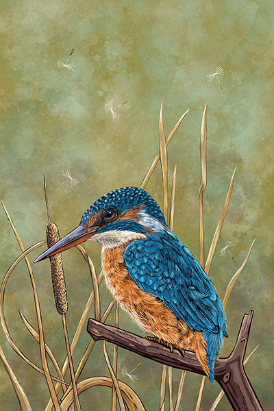 Kitchen tea towel: design is of a stunningly colourful kingfisher perched waterside branch; the background colour is an earthy green watercolour style, which compliments the kingfisher colours.