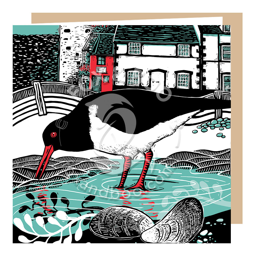 Conwy Oystercatcher Card