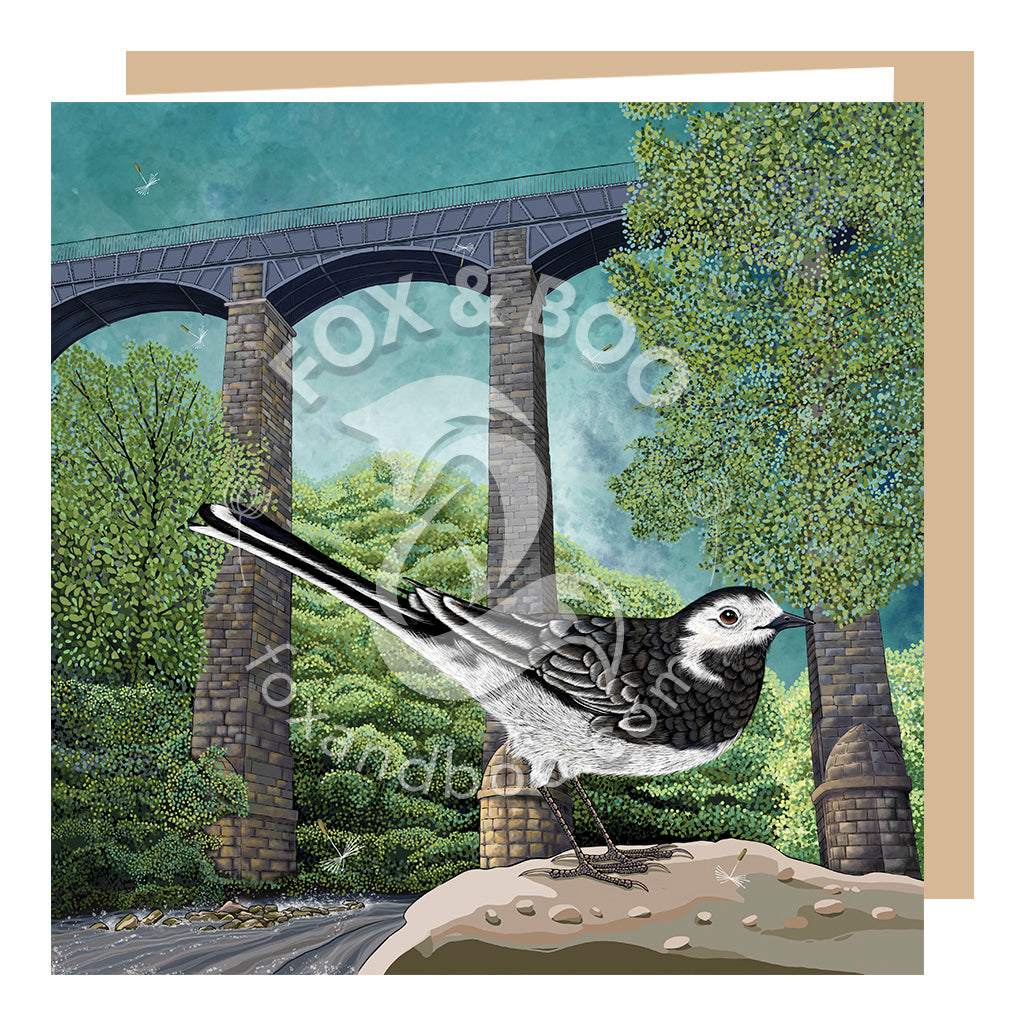 Wagtail at Pontcysyllte Aqueduct Card