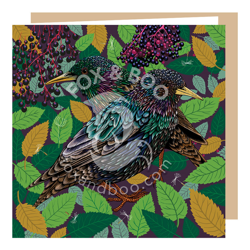Starlings 'True Colours' Card
