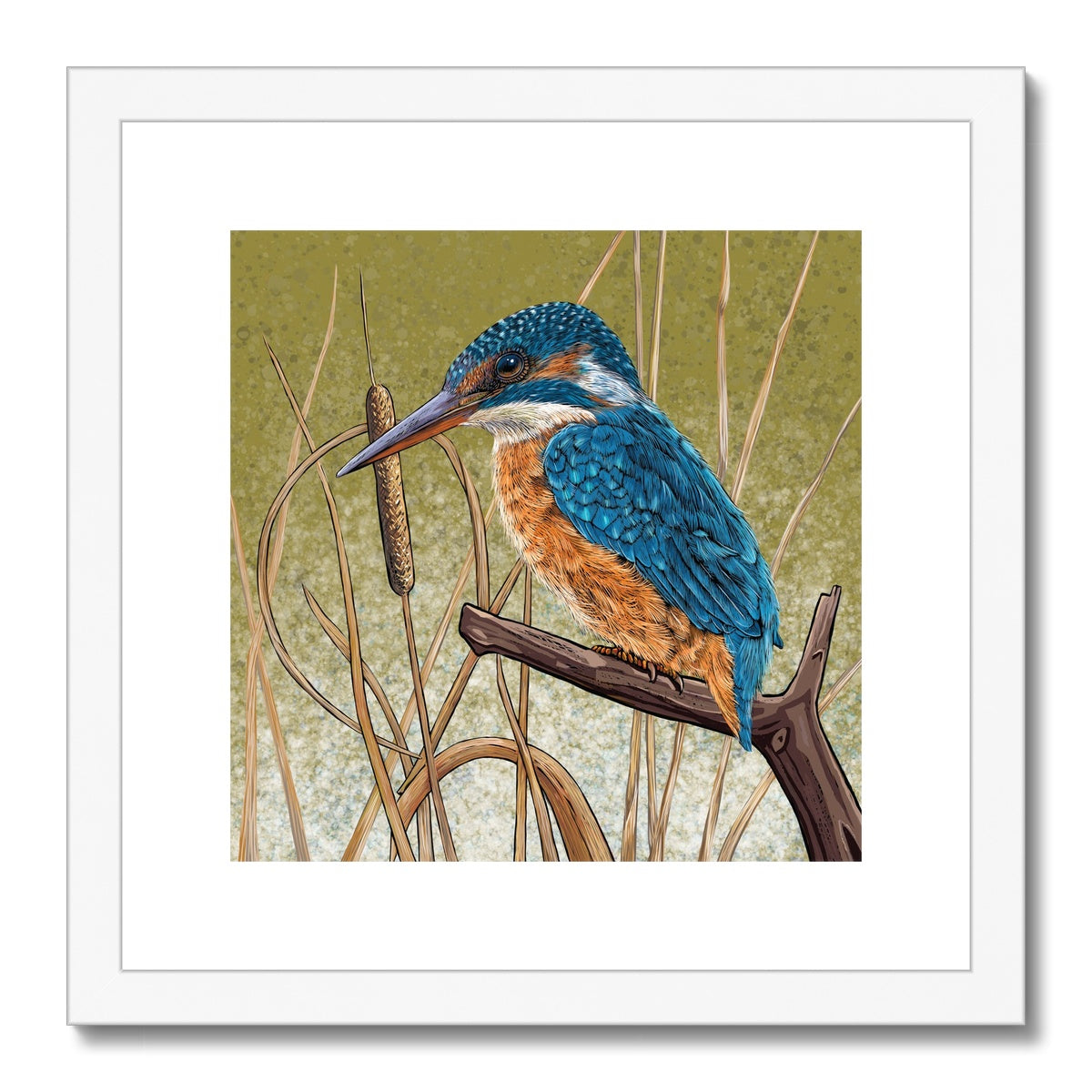 Kingfisher Blues Framed & Mounted Print