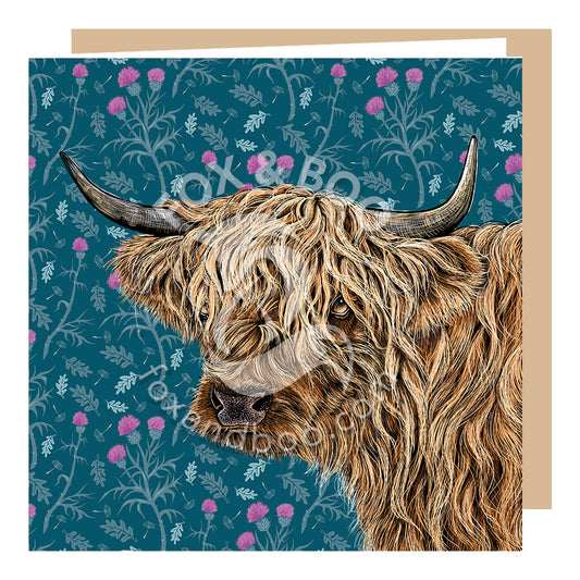 Highland Cow Card