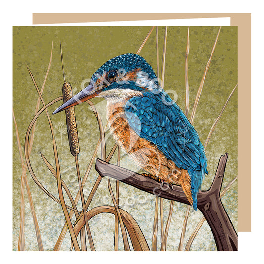 Kingfisher Blues Card