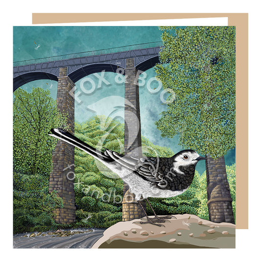 Wagtail at Pontcysyllte Aqueduct Card