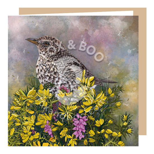 Song Thrush and Gorse Greeting Card