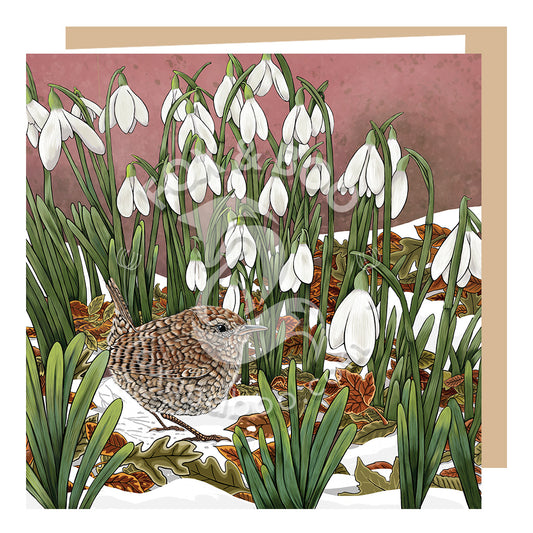 'If you look closer' Wren and Snowdrops Card